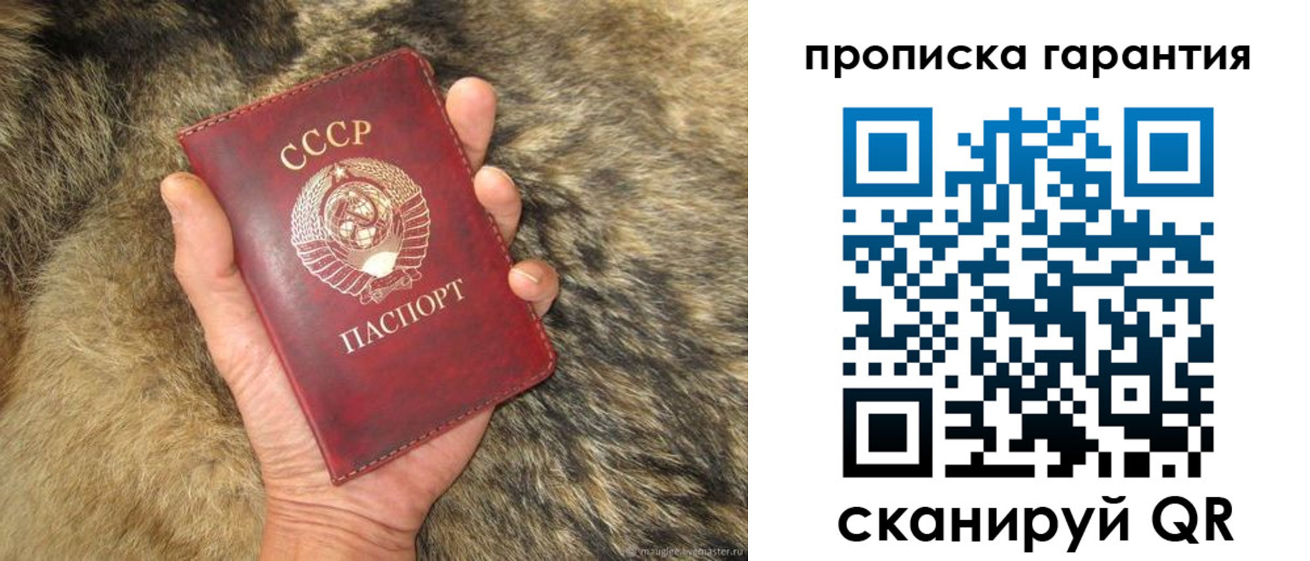 временная регистрация гарантия в Томске